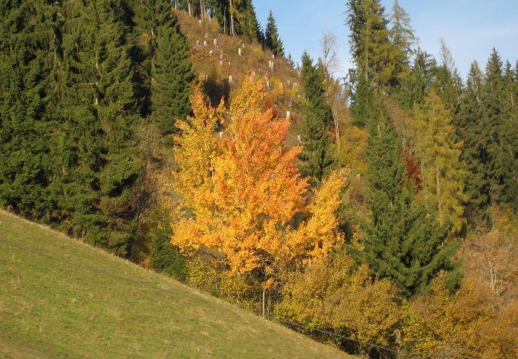 Haus Dekorso Apartman Dorfgastein Kültér fotó